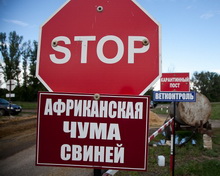 В Україні пройдуть регіональні тренінги щодо боротьби з АЧС